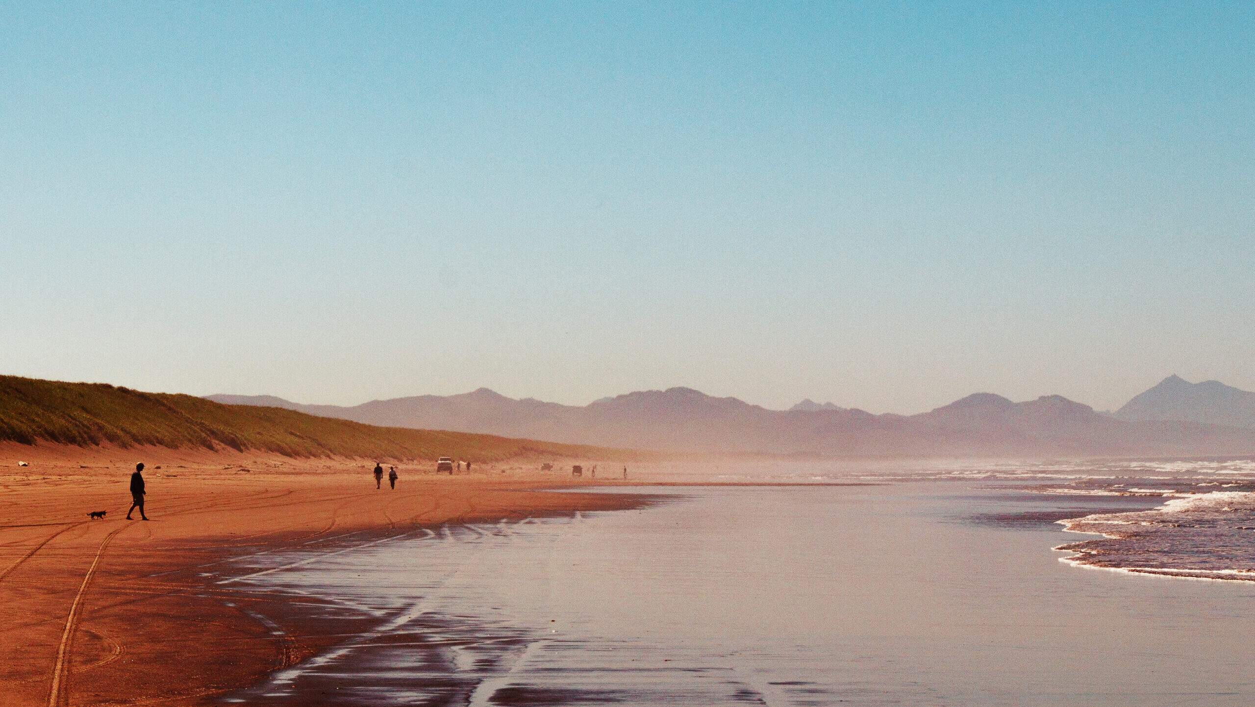 Tranquil Shores
